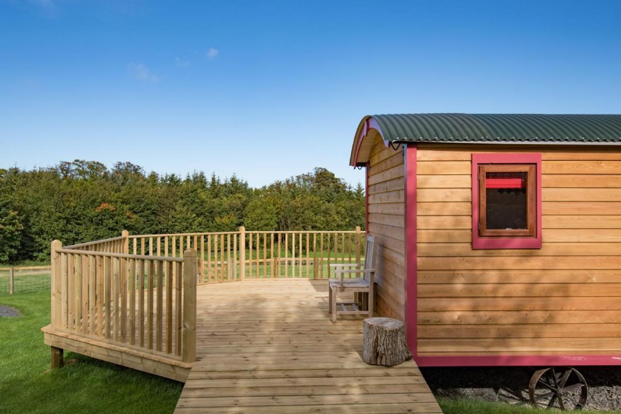 Foxglove Shepherd's Hut Berwick Upon Tweed Eksteriør billede